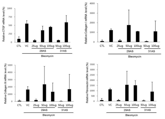 Bleomycin model에서 BMT101 (31AS) 과 BMT101 유도체 (29AS)의 fibrosis marker 억제 효력 비교 - mRNA level