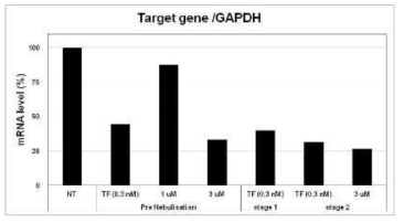 BMT101의 Nebulizer 분사 전후 및 TSI stage에 따른 표적유전자 억제 효력