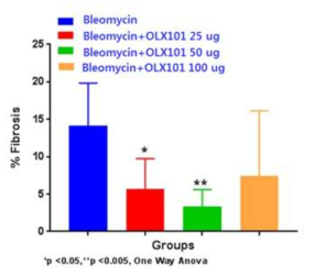 Bleomycin 및 BMT101을 투여한 폐 조직의 섬유화 정량 분석