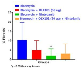 Bleomycin 및 BMT101, Nintedanib을 투여한 폐 조직의 섬유화 정량 분석