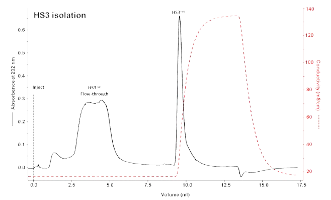 Affinity Chromatograph를 이용한 HS3의 정제