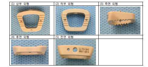 돼지 추간판에 적용되기 위하여 제작된 CAGE 실물