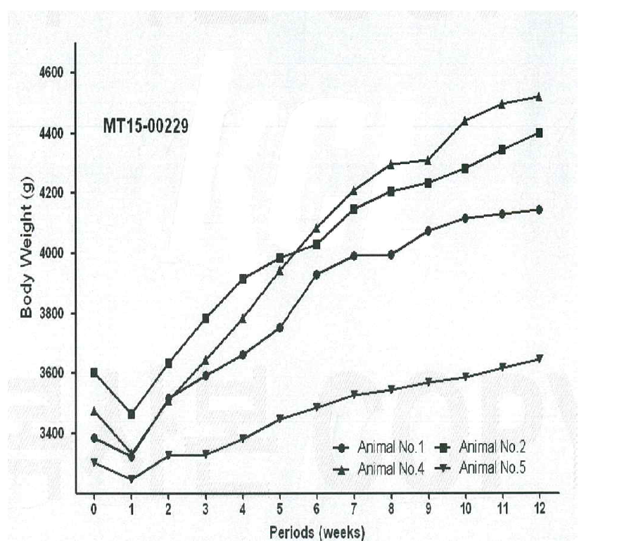 시험동물의 체중변화 그래프