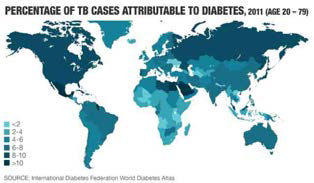 당뇨병의 증가로 인한 결핵 발생률의 증가 현황(2011)