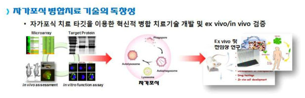 본 연구과제 자가포식 병합치료 기술 개요 및 독창성