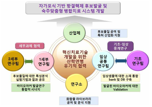 본 연구과제 연구개발 흐름도