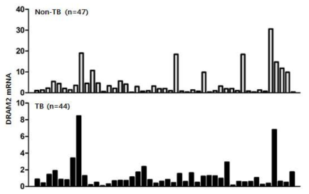결핵 비감염 조직 및 결핵 감염 조직에서 DRAM2 발현 분석