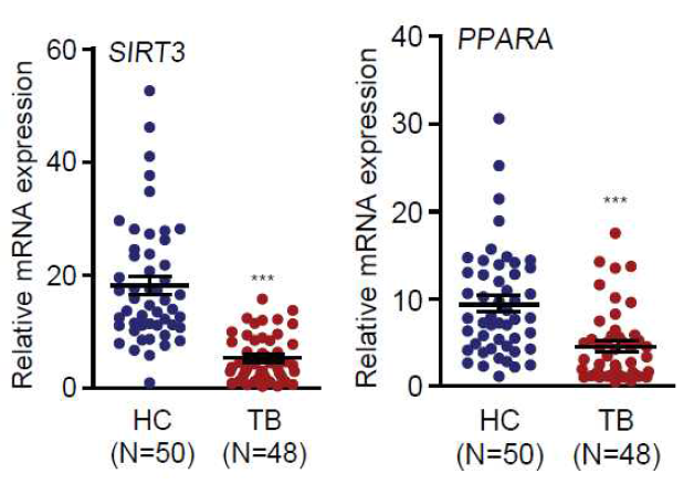 건강인 및 결핵환자의 말초혈액 단핵세포에서 SIRT3와 PPARalpha 발현 분석