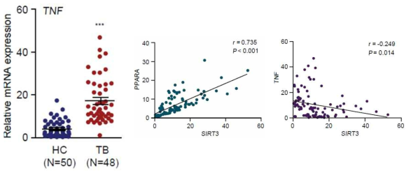 건강인 및 결핵환자의 말초혈액 단핵세포에서 TNF 발현 및 TNF/SIRT3와 PPARalpha 간의 상관관계 분석