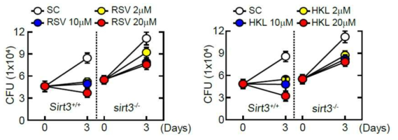 SIRT3 야생형과 결핍 마우스 대식세포에서 resveratrol 혹은 honokiol 투여 후 세포 내 결핵균 생균수의 변화