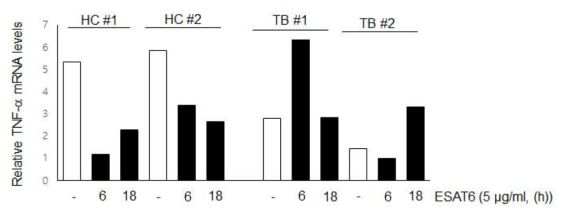 건강인과 결핵환자의 말초혈액 단핵세포에 대하여 ESAT6 항원 자극 후 염증성 사이토카인인 TNF-alpha의 유전자 발현 비교