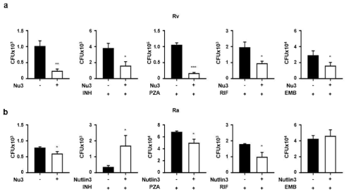 기존 항결핵제와 Nutlin3의 병용처리 후 세포 내 결핵균 제어능 측정