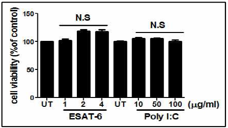 ESAT6 처리에 대한 MH-S 세포 생존률