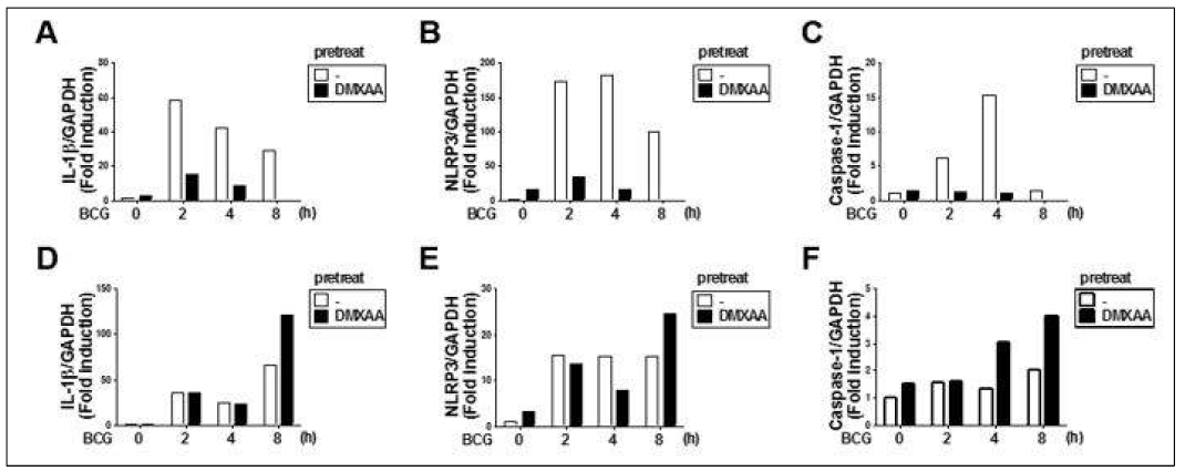 WT (A-C)과 IFNαβR KO (D-F) 마우스에서 분리한 대식세포에서 DMXAA 전처리 후 BCG 감염에 의한 (A and D) IL-1β, (B and E) NLRP3와 (C and F) Caspase-1 유전자 발현