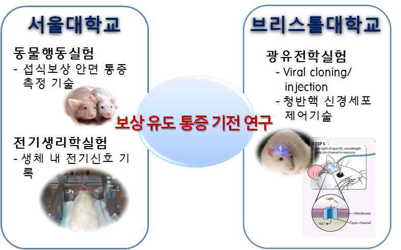 서울대학교와 브리스톨 대학교에서 수행한 연구 범위