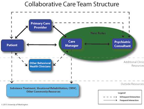 만성질환자에 대한 우울증 개선연구를 위한 Team Structure
