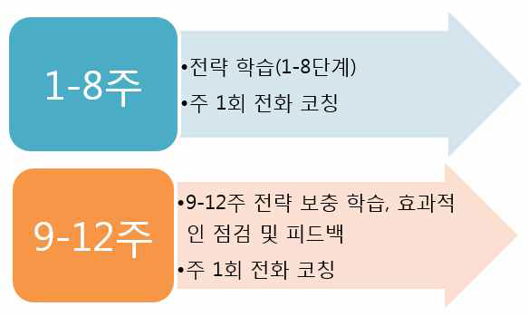 1:1 코칭 실습(텔레클래스) 진행 순서(주차별)