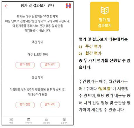 모바일 앱: 평가 및 결과보기(1)