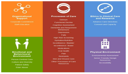 Senior-Friendly Hospital Framework