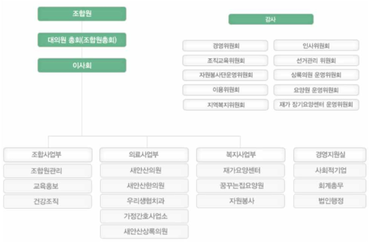 안산 의료복지 사회적 협동조합 조직도