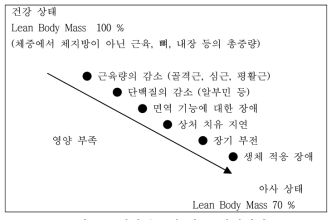 영양부족에 따른 신체변화