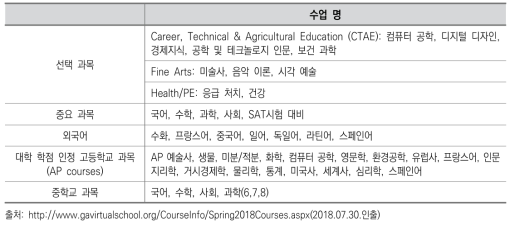 조지아 가상 학교 온라인 개설 과목