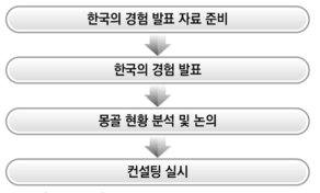 몽골 교육통계 컨설팅 프로세스
