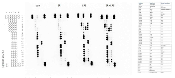 방사선 및 LPS 시그널에 의한 J774A.1 대식세포의 cytokine secretion profile