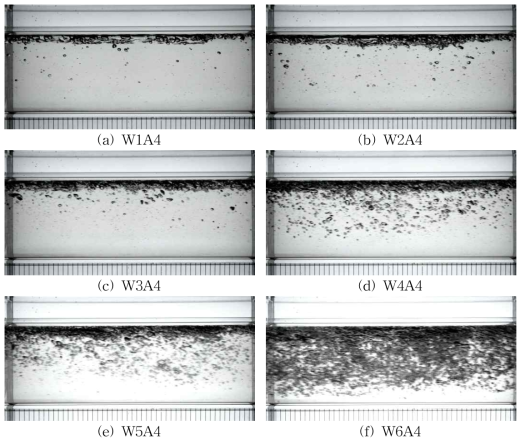 흐름 조건에 따른 기포 흐름 양상(A4)