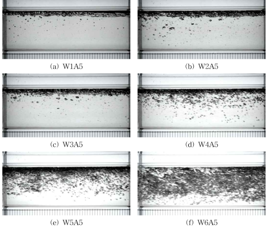 흐름 조건에 따른 기포 흐름 양상(A5)
