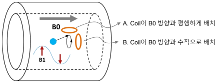 B0 방향에 평행하게 coil이 배치된 A의 경우 충분하게 RF pulse에 의해 여기되어 생성된 영상신호를 수집할 수 있는 반면, B0 방향에 수직으로 coil이 배치된 B의 경우에는 영상신호의 수신감도가 현저히 감소한다