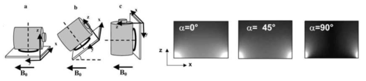 B0 field 방향에 따른 surface RF coil 수신감도에 대한 전자기장 시뮬레이션. Coil이 B0에 평행하게 배치된 a의 경우 (α=0) 해당 coil의 최대 수신감도를 보이는 반면 B0에 수직으로 배치된 c의 경우 최저의 수신감도를 보인다