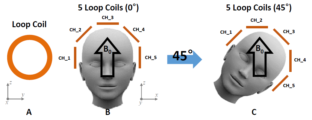Wearable head coil 구성을 위한 5개의 loop coil 구조. Wearable head coil 배치와 B0 field 방향에 따른 각 채널의 동작특성이 coil의 회전에 따라 변화한다