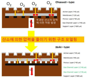 Channel-type과 Hole-type 분리막 구조