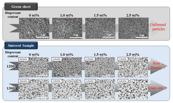 분산제 함량에 따른 Green sheet와 소결된 분리막의 미세구조