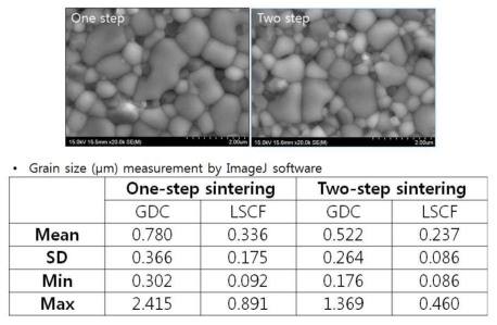 소결조건에 따른 분리막의 미세구조 및 Grain size 분석