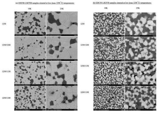 2-step sintering 후 SEM 분석 결과