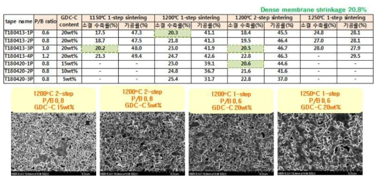 치밀질 멤브레인층과 다공질 지지층의 소결수축률