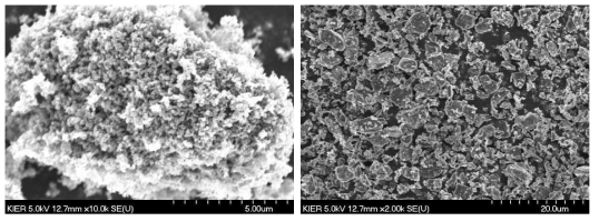 고밀도화 슬러리 원료로 사용한 탄소와 Si의 SEM 사진
