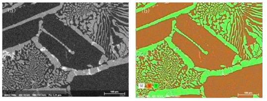 Si : Y = 2 : 1 at.% 비율로 혼합한 용융금속의 FE-SEM (a) SE 및 (b) Si, Y 원소 EDS Mapping 사진