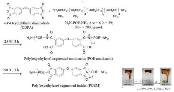 염료감응태양전지용 준고체전해질 매트릭스의 합성 스킴 (K.-C. Ho et al., J. Mater. Chem. A, 2013, 1, 3055)