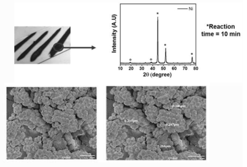 환원된 Ni의 XRD 및 SEM 이미지