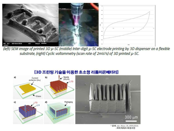 3D 프린팅 기술을 이용한 에너지저장소자 개발 예시