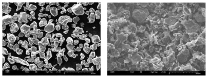 본 연구에서 사용된 전극물질의 SEM 이미지(LCO(좌), graphite(우))