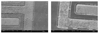 전기화학 반응 후 집전체의 반응성 확인을 위한 SEM 이미지