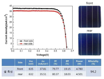 제조된 양면수광형 태양전지 효율 및 bifaciality 결과