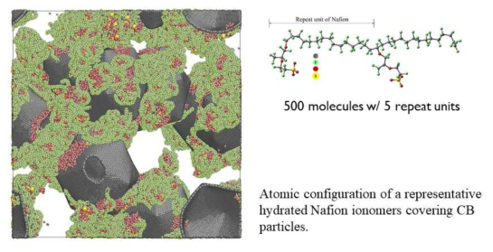 분자동역학에 사용된 Hydrated Nafion 이오노머와 탄소지지체