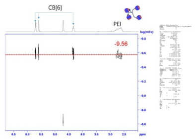 CB[6]-PEI(0.6 K)의 2D DOSY NMR (Diffusion-Ordered NMR Spectroscopy)