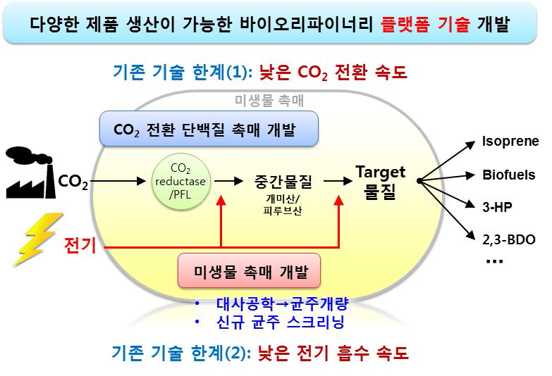 CO2 전환 바이오리파이너리 기술의 모식도
