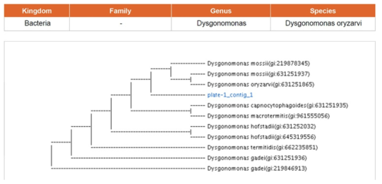 16S rRNA 서열 분석에 의한 phylogenetic analysis